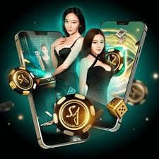 winbox web
